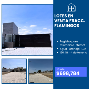 Lotes en Venta en Fracc. Flamingos, Granjas Puebla